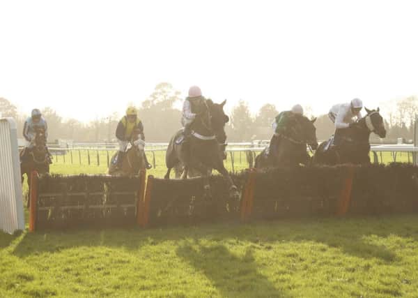 A great afternoon's racing is in store at Fontwell on Boxing Day / Picture by Clive Bennett