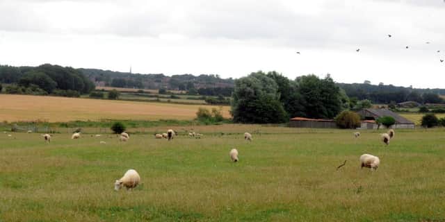The A27 could pass through the countryside at Lavant