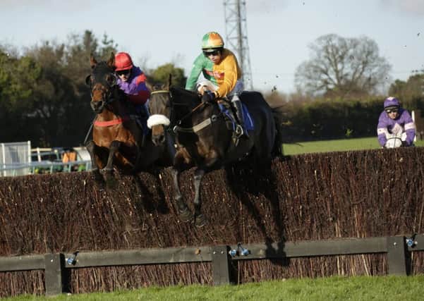 Boxing Day action at Fontwell Park / Picture by Clive Bennett