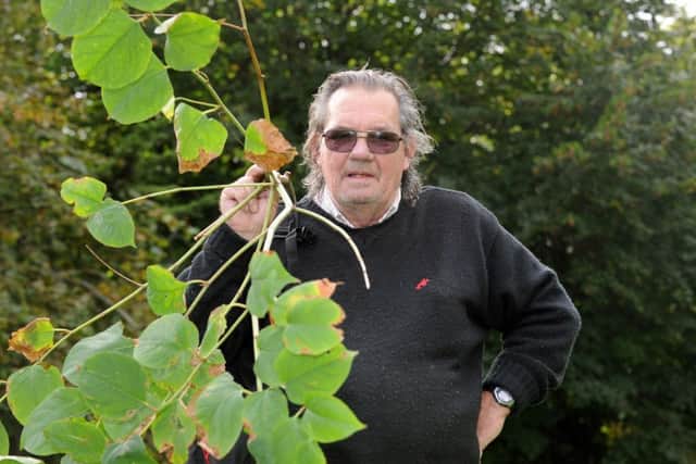 John Clark brought knotweed to the chamber in 2013