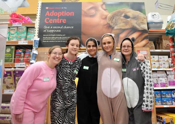 Staff at Pets at Home dressed up in onesies to riase money for Support Adoption for Pets

Pictured from left: Sujetta O'Harloran, Kya Butcher, Lucy Brown, Carla Lees and  Hannah Boyle ENGANL00120121015132257