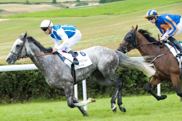 Solow on his way to Sussex Stakes victory / Picture by Tommy McMillan