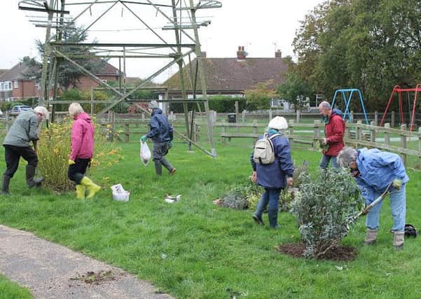 Ferring Conservation Group planting daffodil and tulip bulbs on Ferring Village Green in November