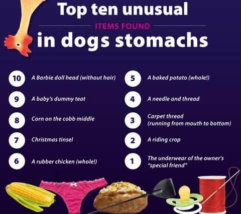 The top 10 most unusual items found inside dogs