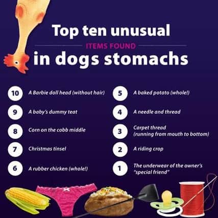 The top 10 most unusual items found inside dogs