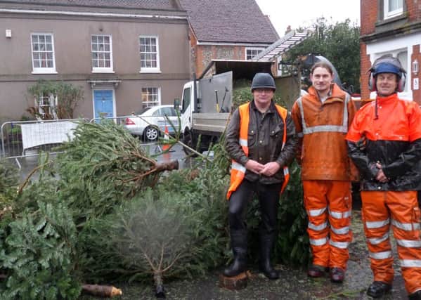 Greening Westbourne chairman Colin CarrÃ©, left, with Wade Fazackarley and Michael Reed from the village tree specialists