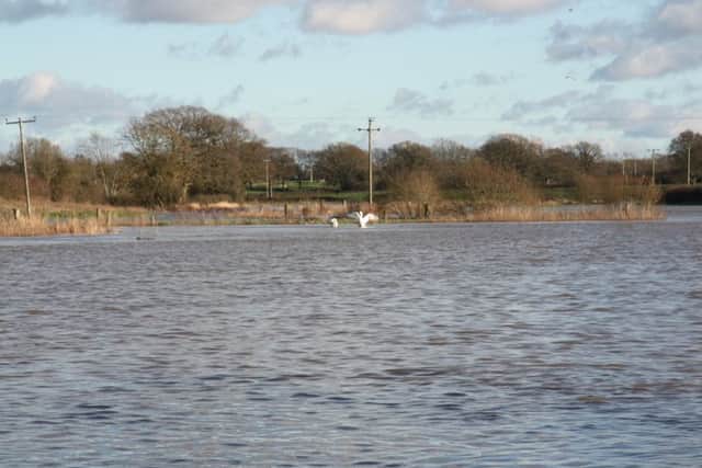 Flooding in Twineham on Thursday January 7. Photo by Jane Watson