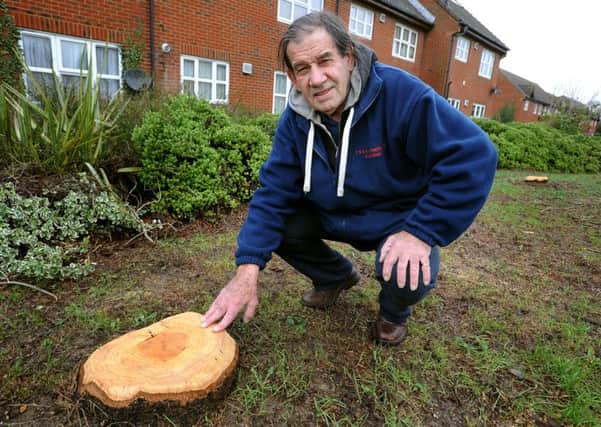 Former Crawley Mayor Peter Milton criticises CBC for cutting down seemingly healthy trees outside homes in Dingle Close, Crawley.   Pic Steve Robards  SR1600603 SUS-160901-171807001