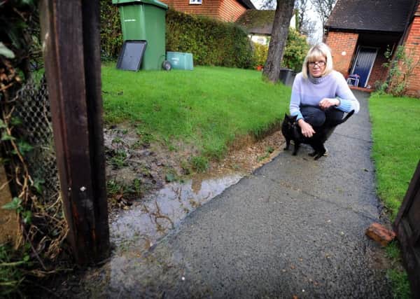 Elaine Buckland's garden has been flooding for two years, Rotherview, Salehurst. SUS-161101-122124001