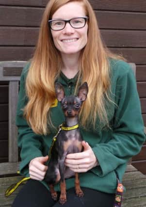 Missy is the smallest resident at Dogs Trust Shoreham