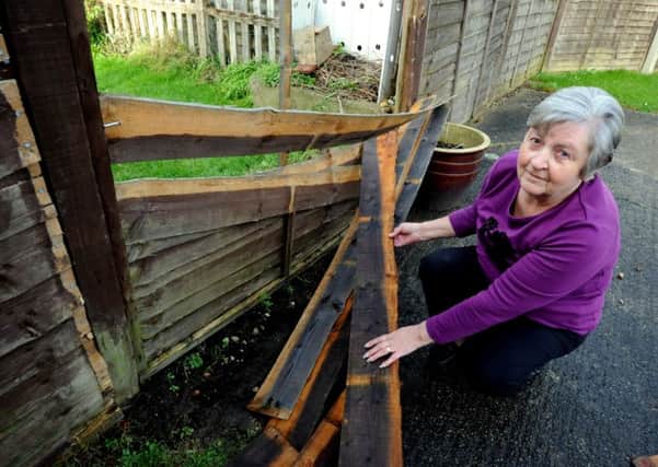 Ann Rapjohns by her broken fence  ks1600017-1