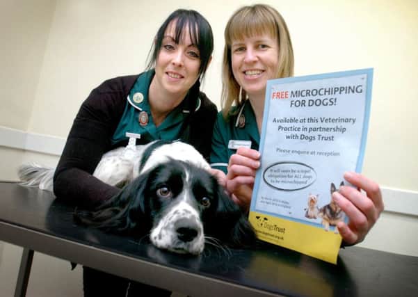 MHBG-27-03-14 Free Microchipping

Hawthorne Lodge Vet Nurses Maria Coleman and Amanda Tudhope with 9mth old Sprocker Tia. The surgery is microchopping dogs for free in conjunction with Dogs Trust.

Pic by Lucy Ford NNL-140325-152442009