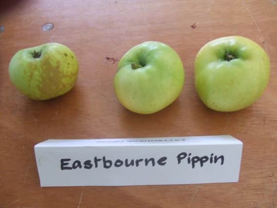 The town's very own apple variety