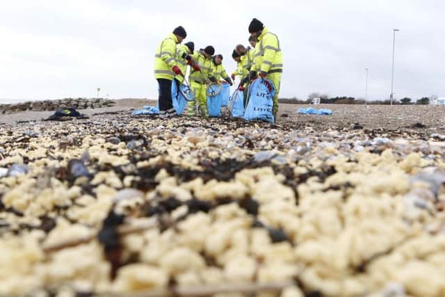 The clean-up operation at Worthing beach. Picture: Eddie Mitchell