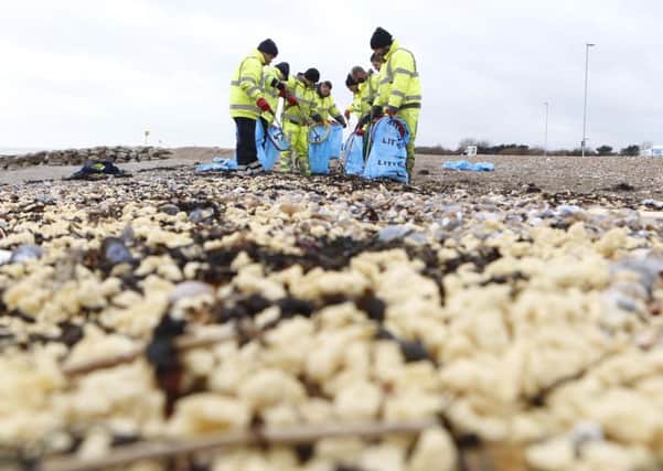 The clean-up operation at Worthing beach. Picture: Eddie Mitchell