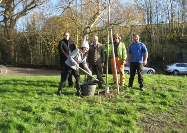 Trees planted in Haywards Heath for National Tree Week's 40th anniversary SUS-160502-121930001