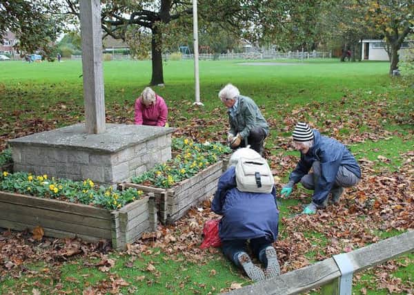 Ferring Conservation Group planting daffodil and tulip bulbs on Ferring Village Green in November