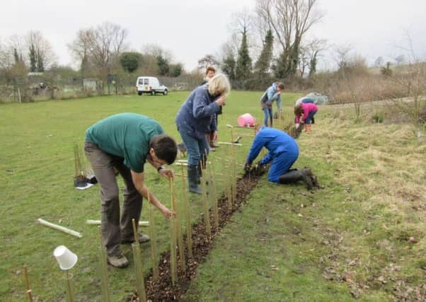 Volunteers planting a hedge at the Rye Community Food & Wildlife Garden
