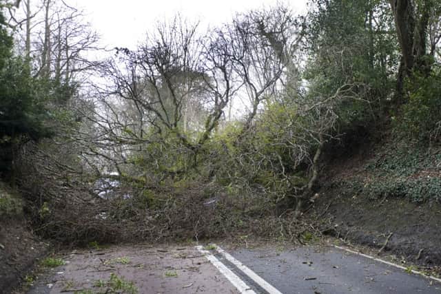 Tree blocking the A21 near Sedlescombe. Photo by Frank Copper. SUS-160802-143621001