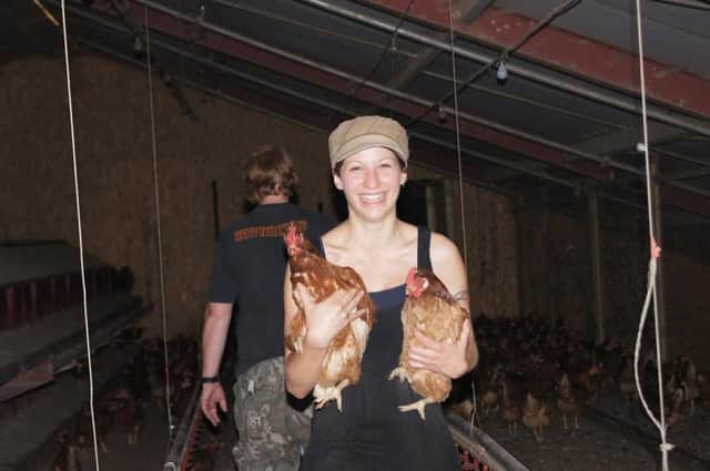 Re-homing hens SUS-160802-151633001