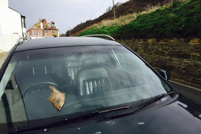 Storm Imogen seemingly managed to throw a fish all the way to Tackleway in the Hastings Old Town, or maybe a seagull dropped it in the wind? Photo by Judy Parkinson
