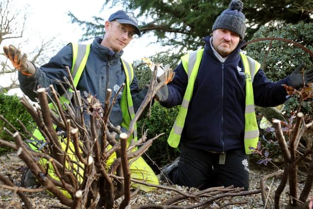 Council Gardeners Tony Oldfield and  Andy Bull are frustrated at the damage caused to the Pittosporum Tom Thumb at Crawley Memorial Garden. Pic Steve Robards  SR1603950 SUS-160802-170654001