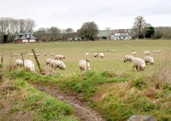 The missing sheep are presumed to have been stolen