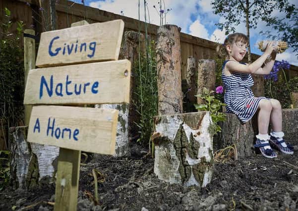 DWH David Wilson Homes new show home has a special garden designed for insects and wild animals. Pictured at the Cromwell Heights in Longridge, Preston site Lyra Coolican aged 4 building an insect home