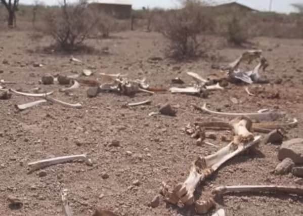 Drought in Ethiopia