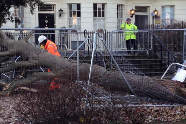 Workers removing the fallen tree from Liverpool Gardens SUS-160215-170919001