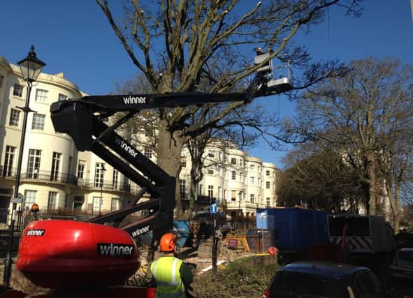 Adur and Worthing Councils removing the tree SUS-160216-101847001
