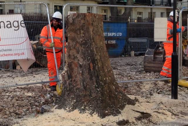 The tree stump after being sawn down on Liverpool Gardens. SUS-160216-155920001