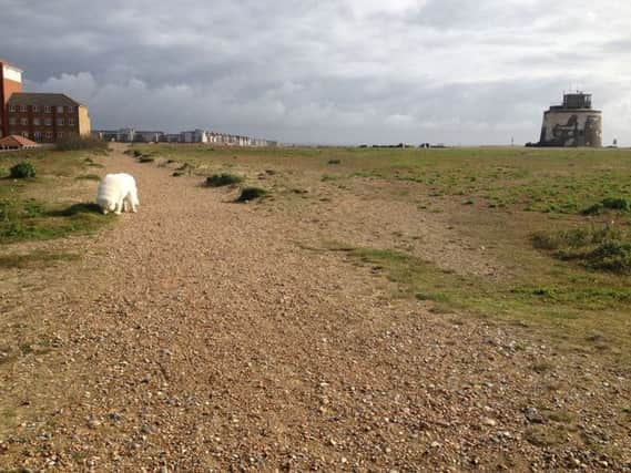 The Martello Field site in Sovereign Harbour SUS-160217-174257001