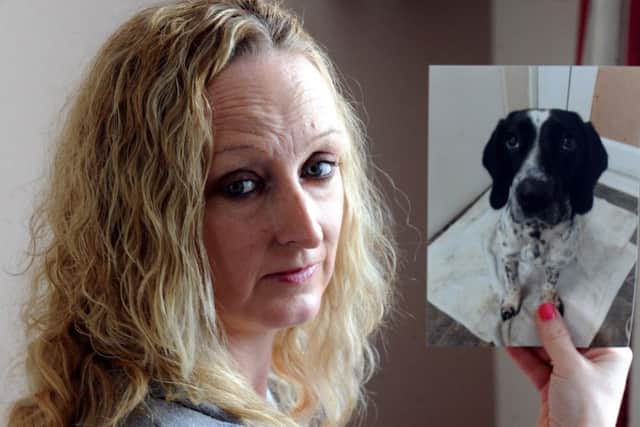 Nicky Cornford from Littlehampton with a picture of Dash who was the first confirmed case ao Alabama Rot in the county