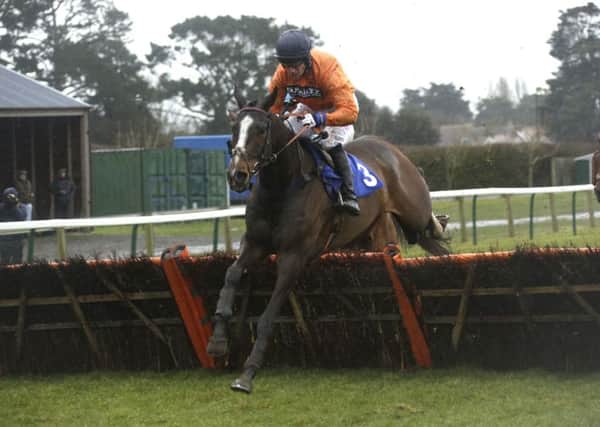 Kilcooley omn the way to winning last year's National Spirit Hurdle / Picture by Clive Bennett