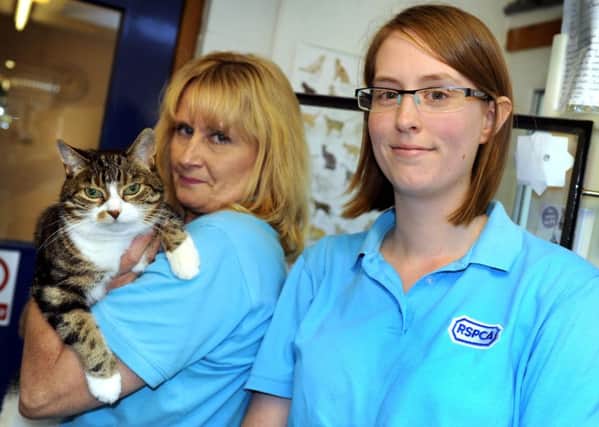 Open day at Bluebell Ridge cat home, Hastings. 9/9/12
Carol Chadwick and Kate Thwaites with Tabitha. ENGSUS00120121009073431