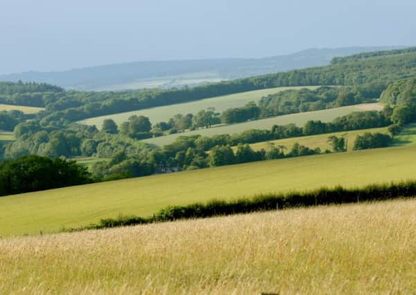 Special landscape of the South Downs National Park