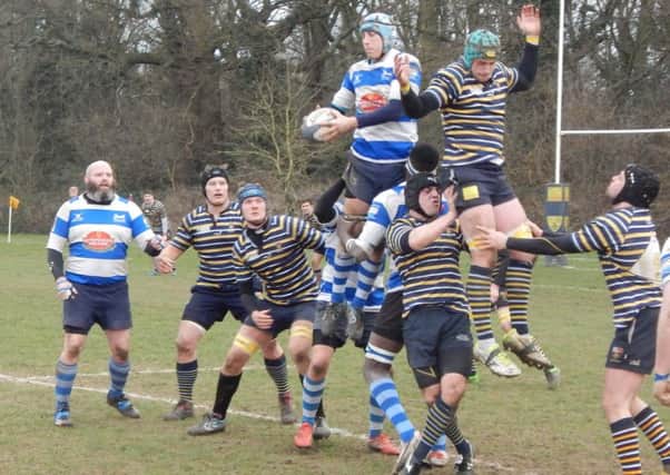 Chris Stern wins lineout ball for Hastings & Bexhill Rugby Club away to Old Cranleighans. Picture courtesy Peter Knight