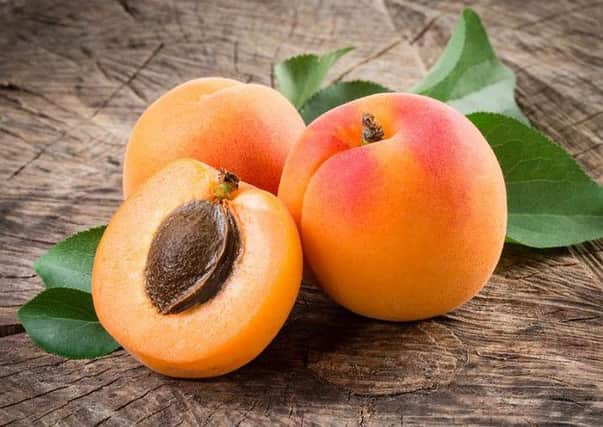 Concerns over organic apricot kernels