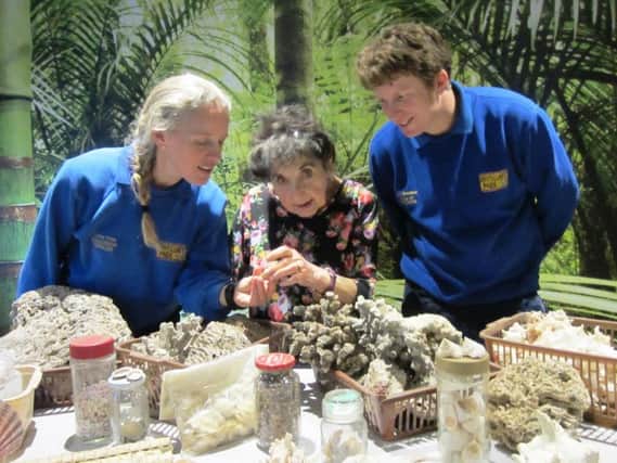 Millicent Rich shows Carla Dray (Education Officer) and James Woodward (Head of Education) the donated artefacts at Drusillas Park SUS-160703-130005001