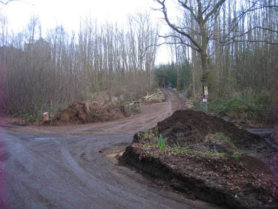 Work carried out on Terwick Common