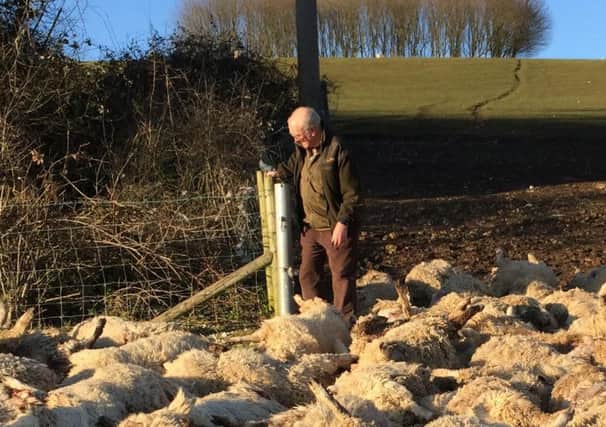 Farmer Gordon Wyeth found his sheep dead