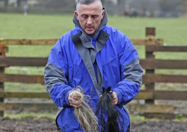 PICTURE PHIL LEE AFTER COLLECTING UP SOME OF THE HORSES TAILS LEFT IN THE FIELD - STORY SIX HORSES TAILS REMOVED  AND A HORSES MAIN CHOPPED OFF, BOTCHED CUT IN THE DARK AT NIGHTIME Â£1K REWARD