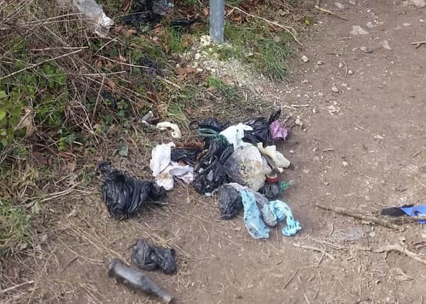 Dog owners are leaving waste bags on Highdown Hill