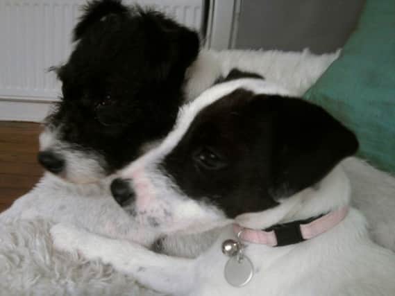 Rosie and Rachel returned home after a fire and rescue service search near Findon
