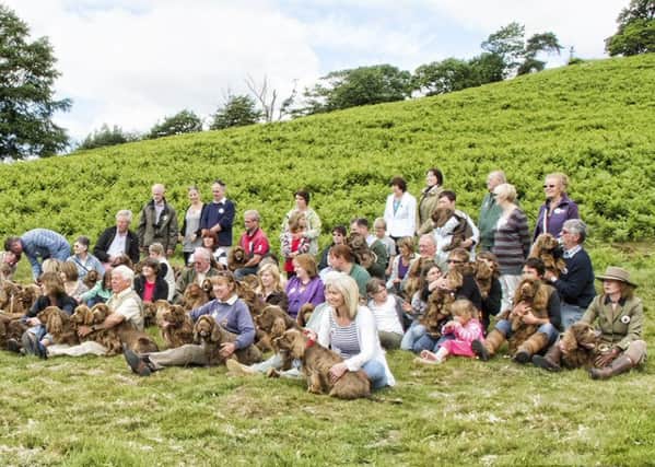 Spaniels and their owners gather at Parham for the 2010 event