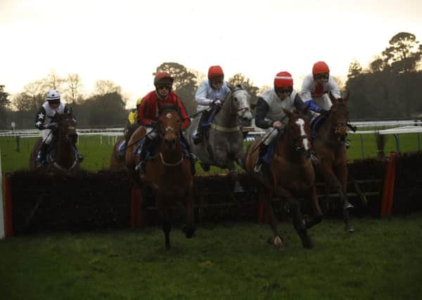 Jump-racing action returns to Fontwell / Picture by Clive Bennett