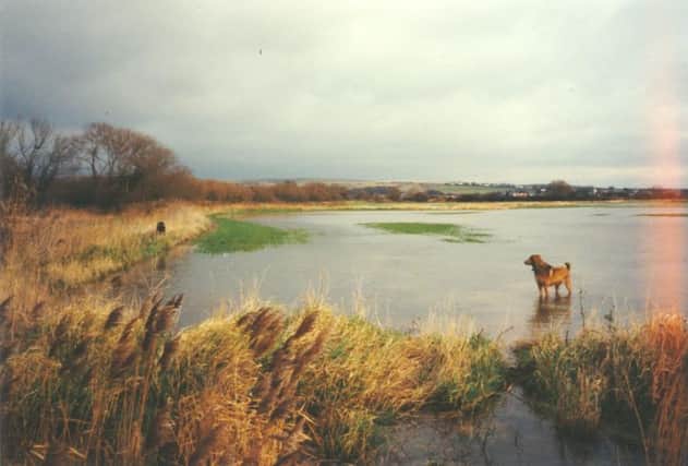 Historic flooding at New Monks Farm. Picture supplied by Bill Freeman SUS-160322-100308001