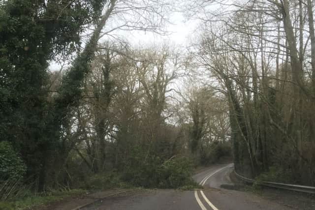 Tree down on A281 at Birchens Bridge between Mannings Heath and Horsham. Photo by John White