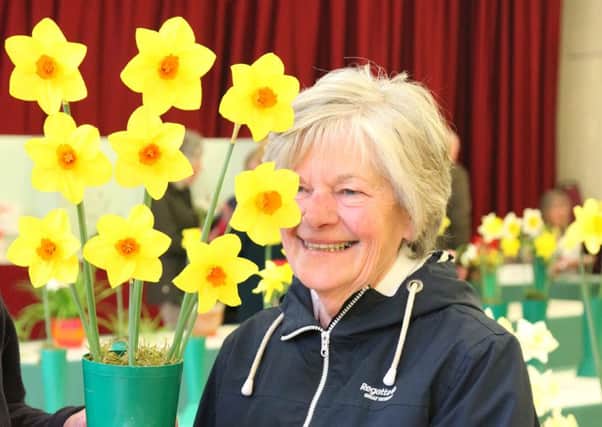 Jenny O' Hagan received the R H How Cup for this stunning vase of nine daffodils